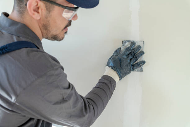 Best Commercial Painting  in Channahon, IL