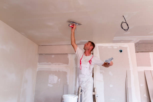 Best Faux Finishing and Decorative Painting  in Channahon, IL